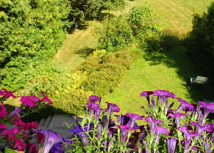 Apartman Elbraechter