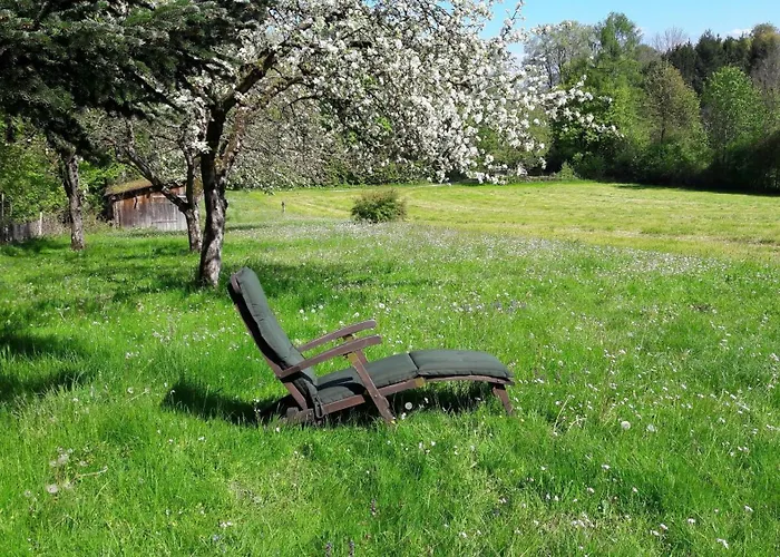 Apartman Elbraechter *